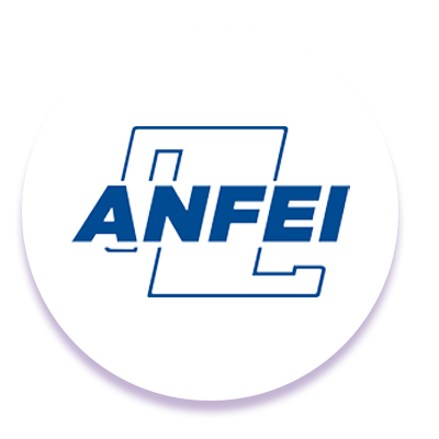 Logo-ANFEI