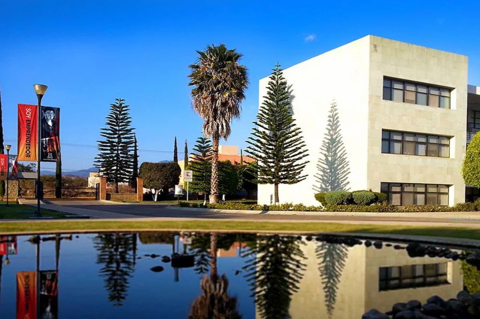 universidad anahuac oaxaca 